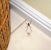 Chevy Chase Insect and Spider Extermination by Absolute Home and Pest Solutions